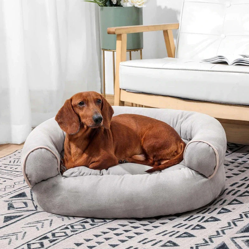 ORTHOLOUNGE – Canapé Confort Soutenant pour Chiens