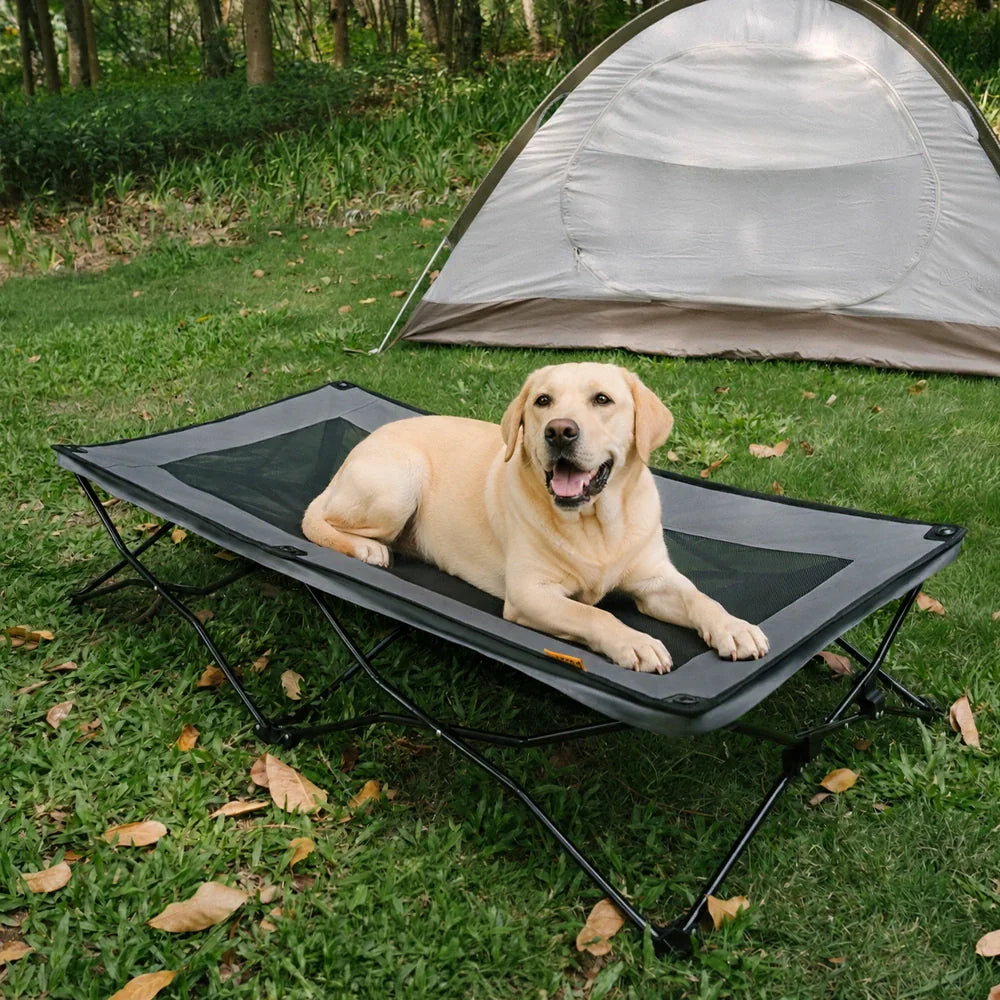 ROAMNEST – Lit surélevé portable pour animaux de compagnie actifs