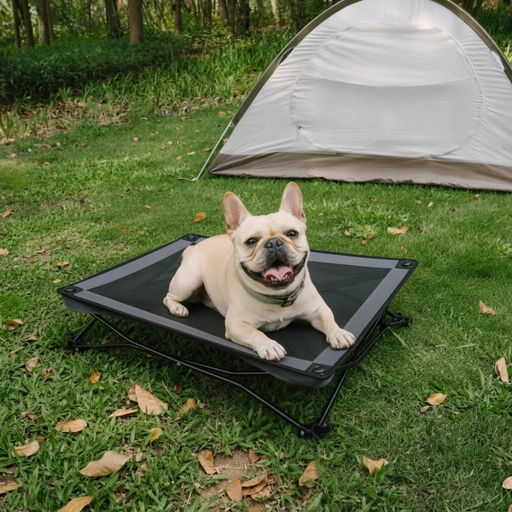 ROAMNEST – Lit surélevé portable pour animaux de compagnie actifs