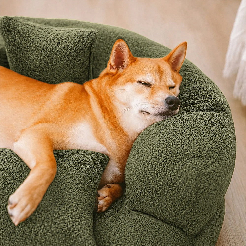 DREAMTAIL – Lit pour animaux en forme de donut avec coussin pour un confort quotidien
