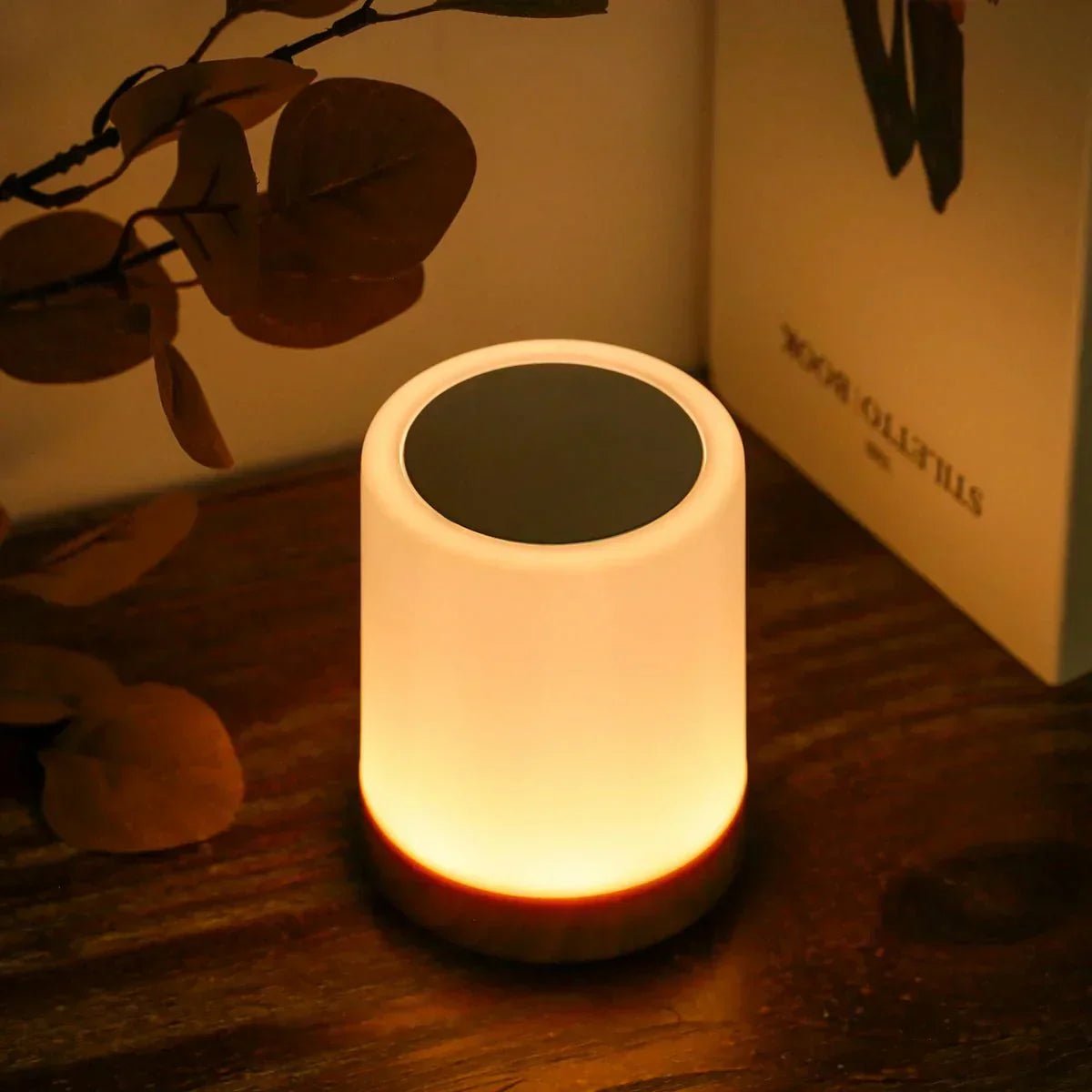 Lampe de table LED portable avec toucher et dimmable
