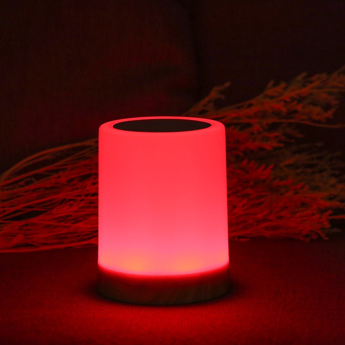 Lampe de table LED portable avec toucher et dimmable