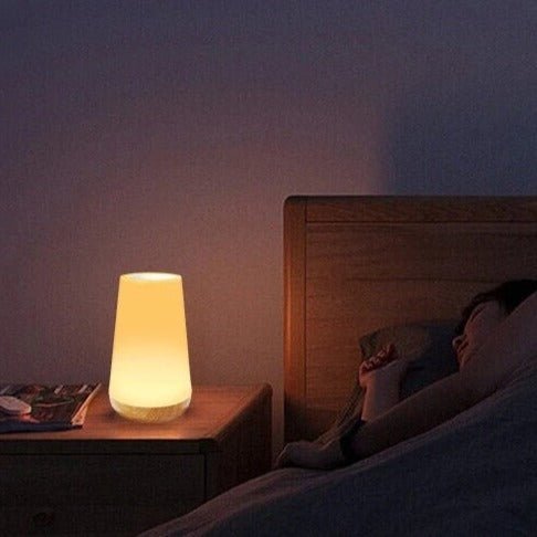 Lampe de table LED portable avec toucher et dimmable
