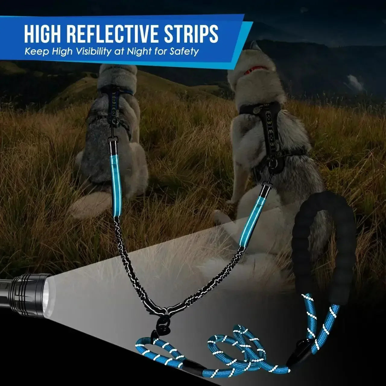 LIGNE TWINSTRIDE – Laisse Double pour Chiens avec Contrôle Pivotant à 360°