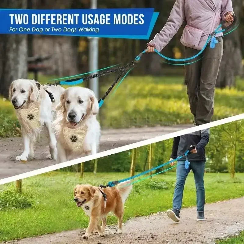 LIGNE TWINSTRIDE – Laisse Double pour Chiens avec Contrôle Pivotant à 360°
