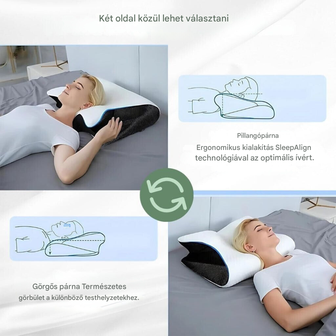 Coussin orthopédique - DreamAlign