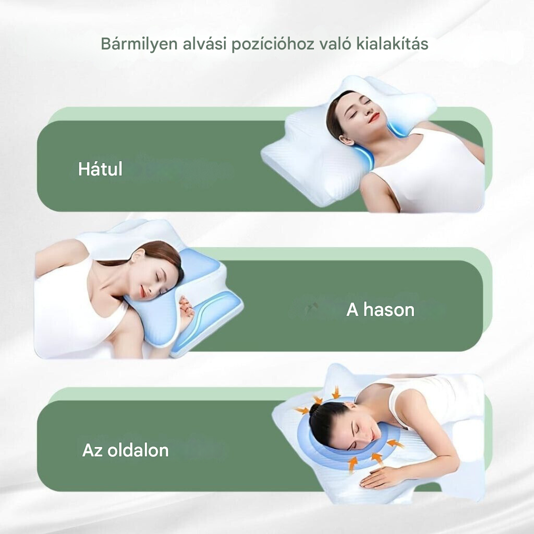 Coussin orthopédique - DreamAlign