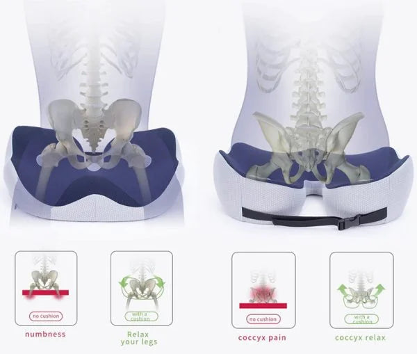 COMFYCURVE – Coussin de confort pour soulager la pression sur le coccyx