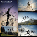 FeenParadies™ | Un jardin fascinant
