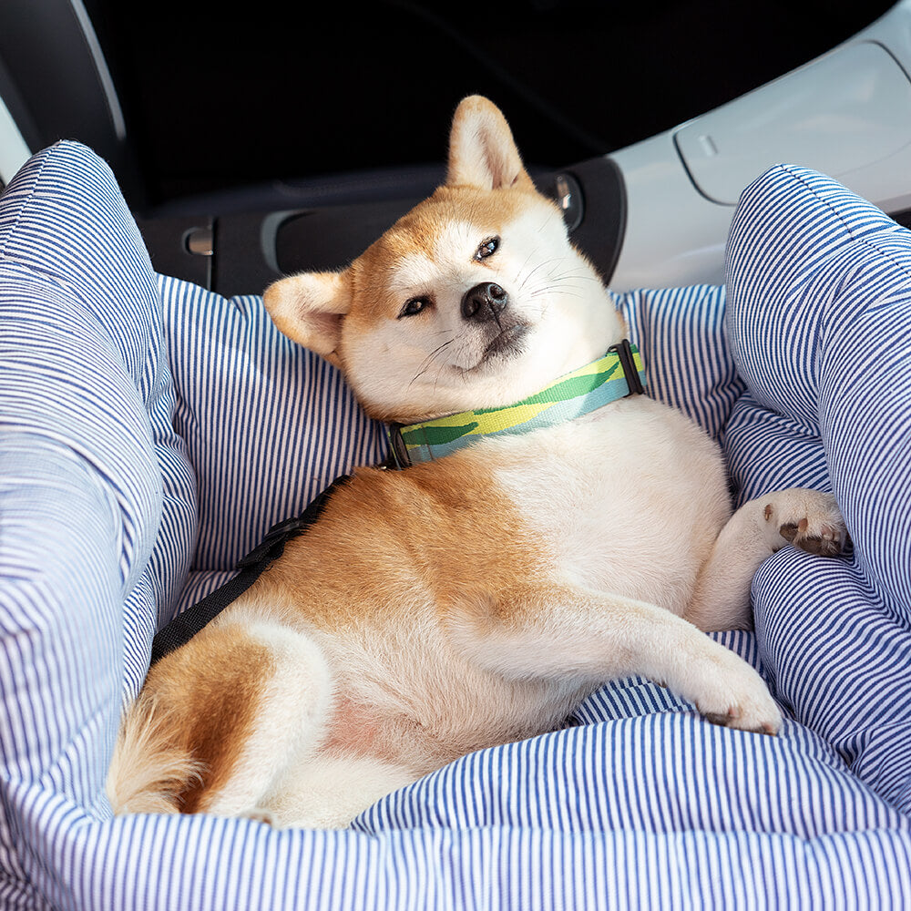 Coussin pour animaux de compagnie – Road Trip