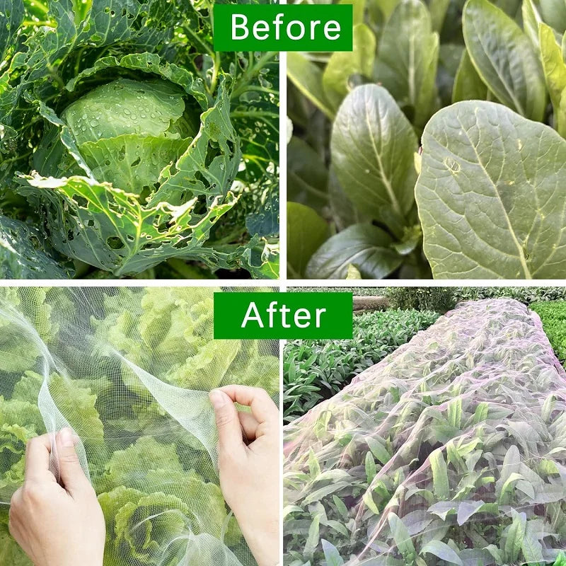 BUGBARRIER – Filet Insecte HDPE pour Protection Respirante des Plantes & Contrôle des Ravageurs
