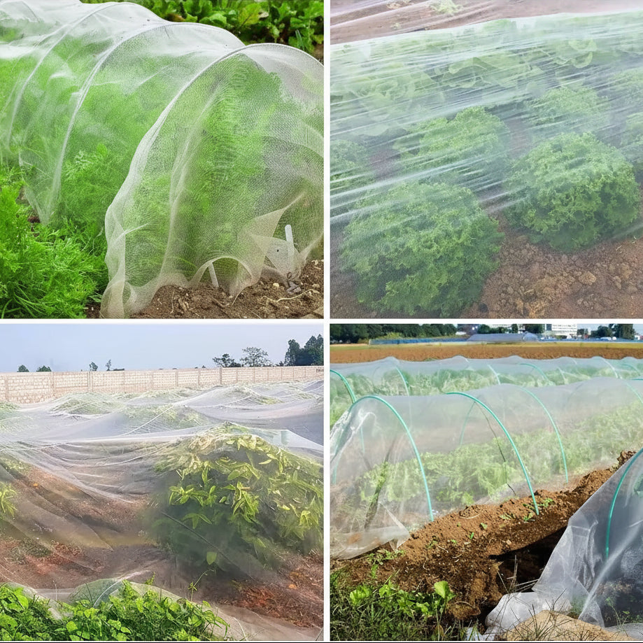 BUGBARRIER – Filet Insecte HDPE pour Protection Respirante des Plantes & Contrôle des Ravageurs