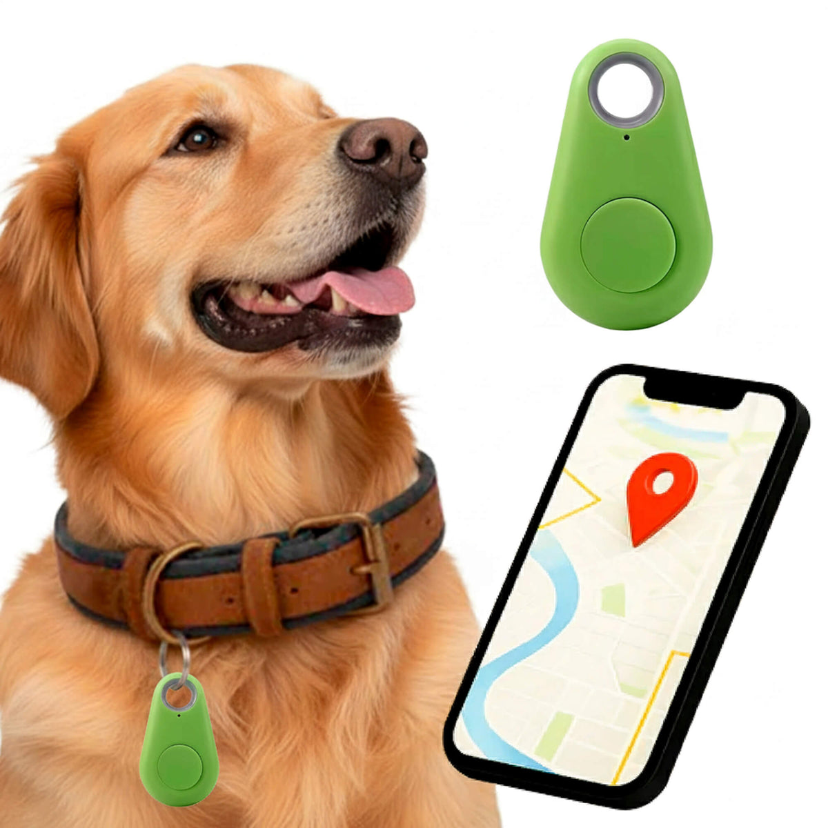 Kirra GPS Tracker pour Chien Étanche avec Mises à Jour de Position en Direct