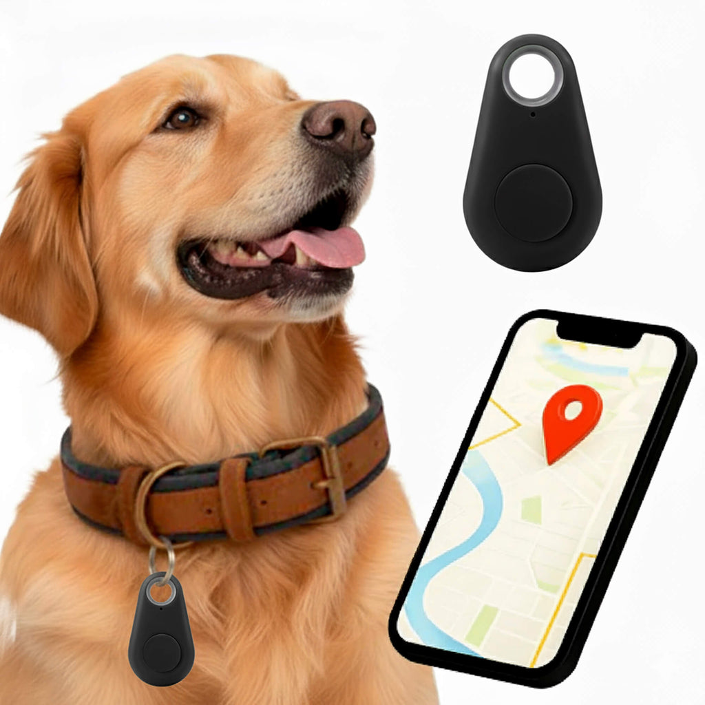 Kirra GPS Tracker pour Chien Étanche avec Mises à Jour de Position en Direct