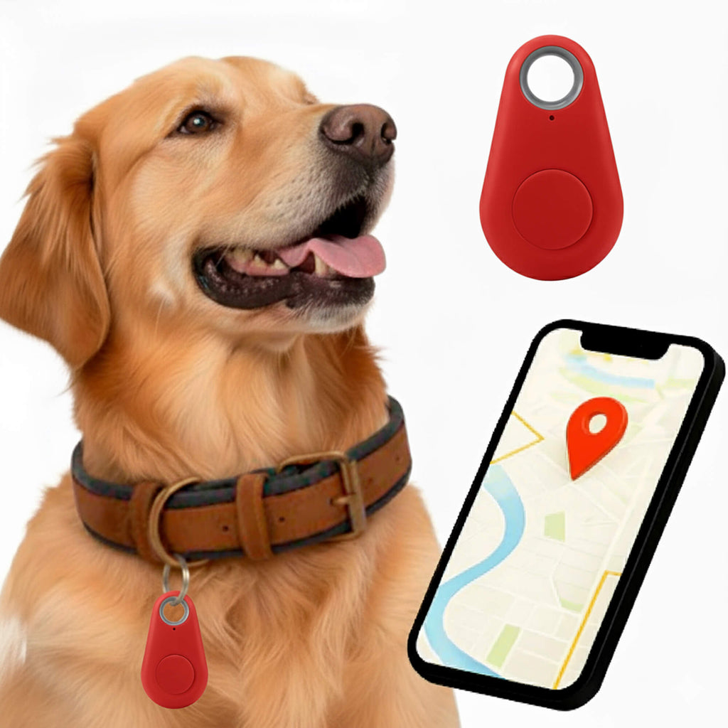 Kirra GPS Tracker pour Chien Étanche avec Mises à Jour de Position en Direct