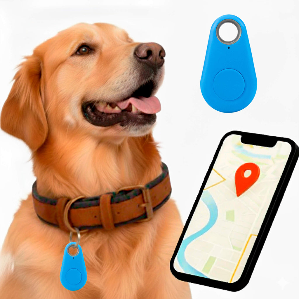 Kirra GPS Tracker pour Chien Étanche avec Mises à Jour de Position en Direct