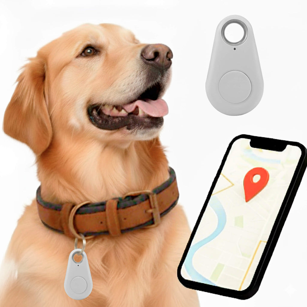 Kirra GPS Tracker pour Chien Étanche avec Mises à Jour de Position en Direct