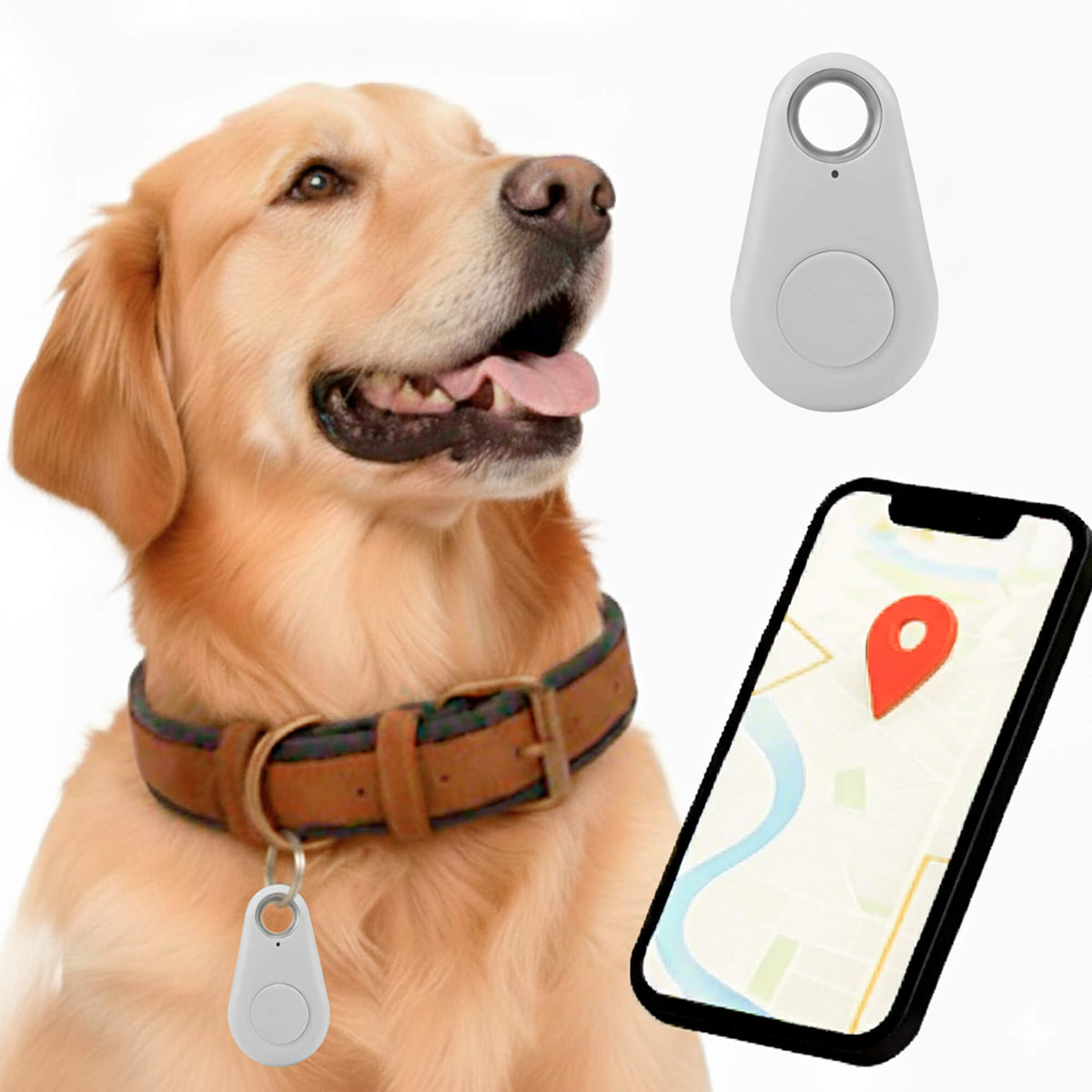 Kirra GPS Tracker pour Chien Étanche avec Mises à Jour de Position en Direct
