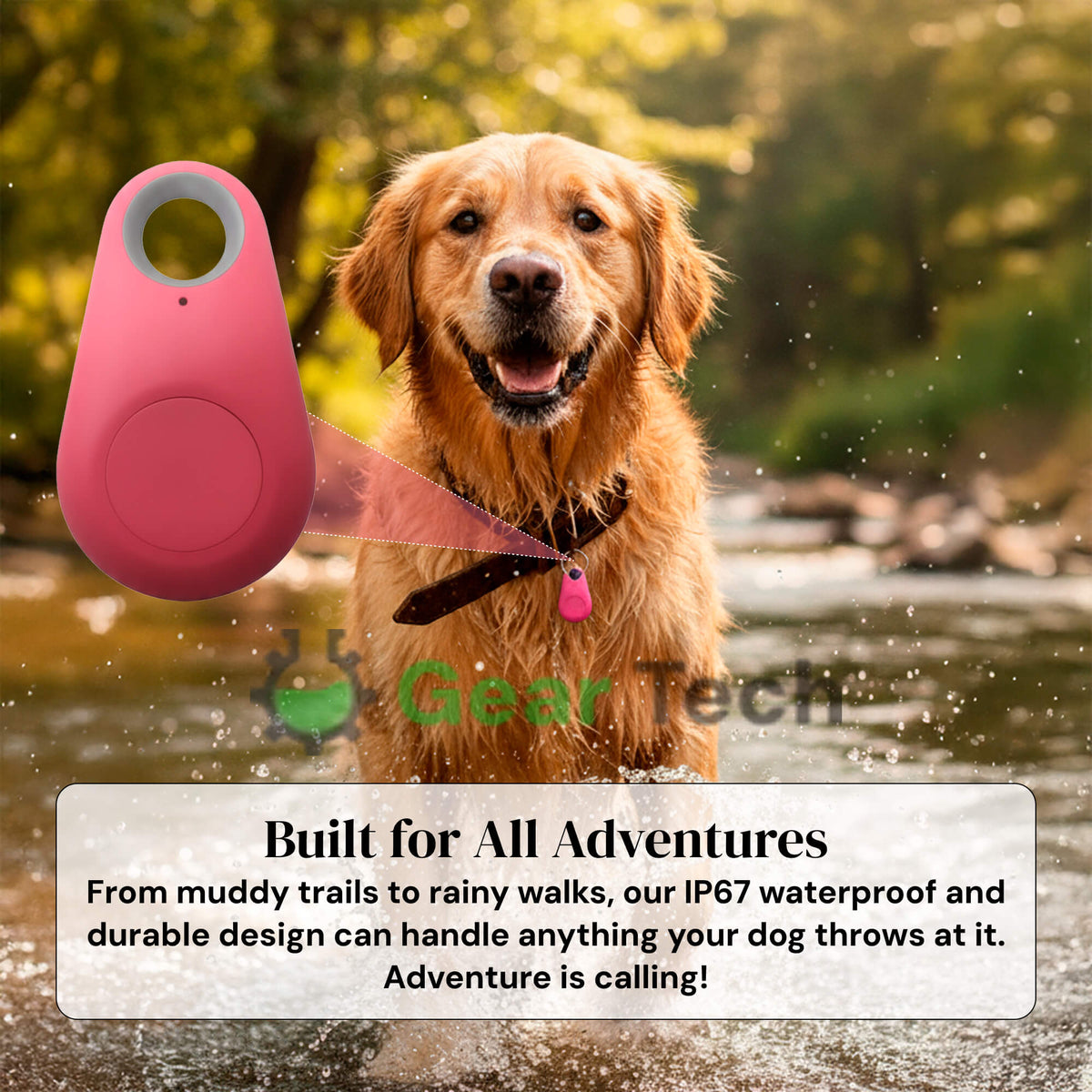 Kirra GPS Tracker pour Chien Étanche avec Mises à Jour de Position en Direct