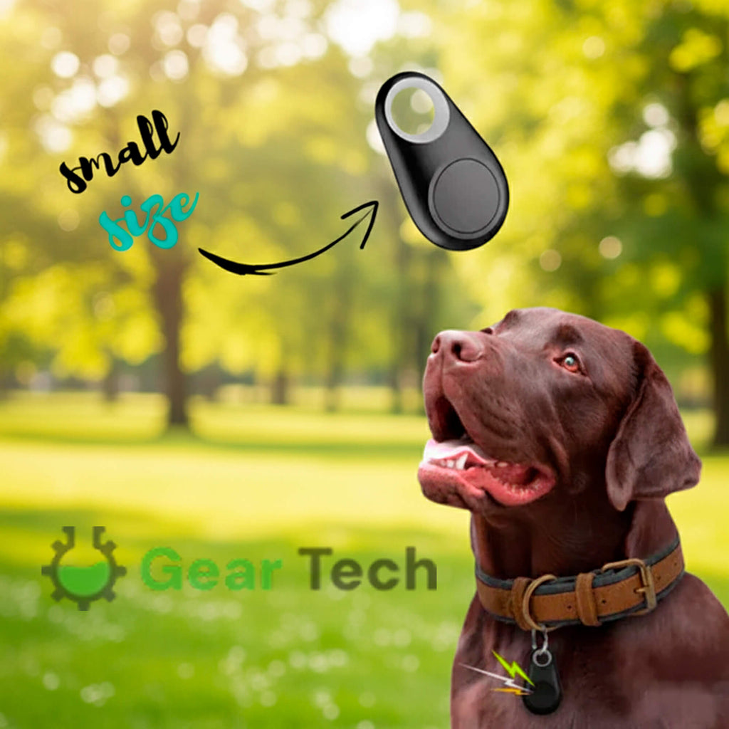 Kirra GPS Tracker pour Chien Étanche avec Mises à Jour de Position en Direct