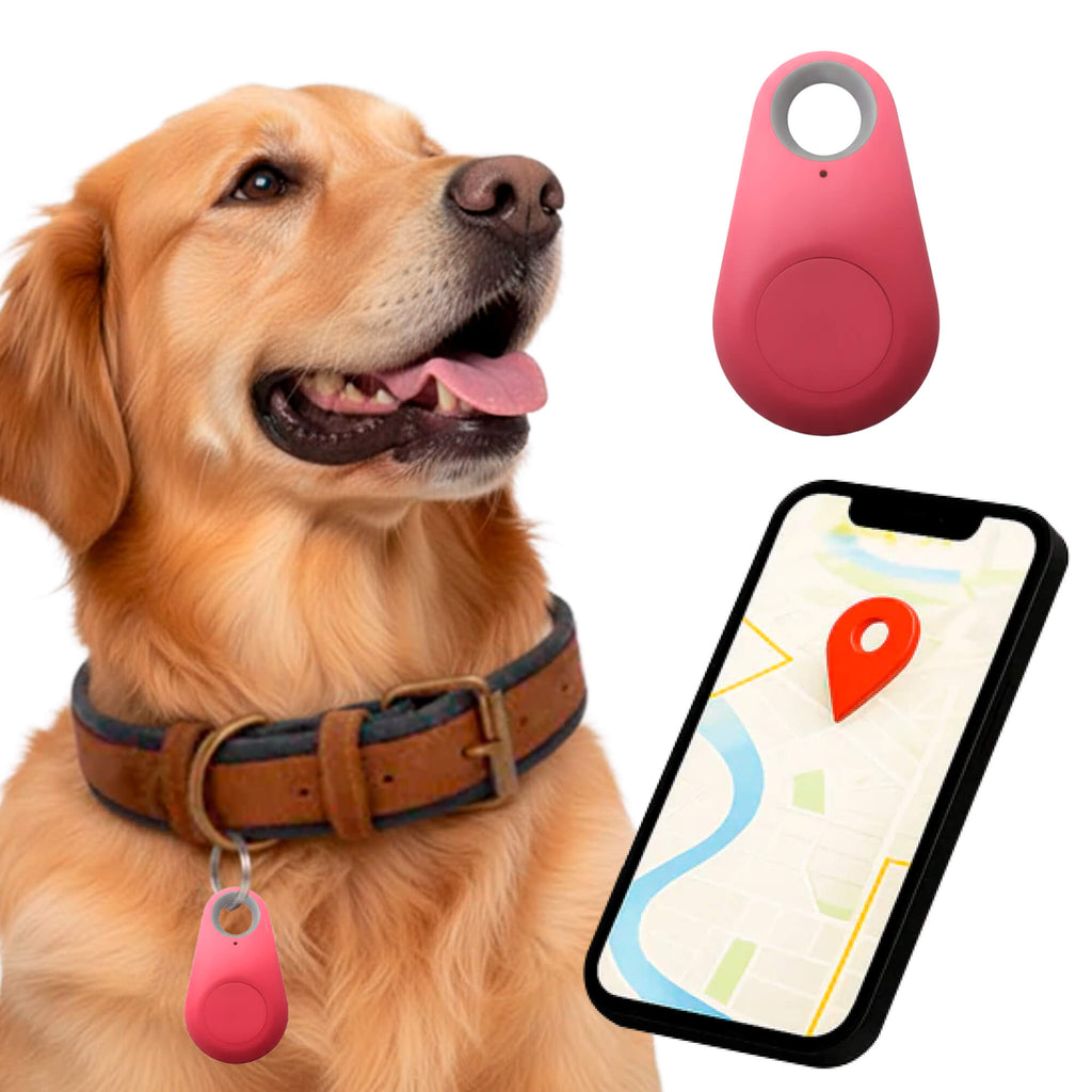 Kirra GPS Tracker pour Chien Étanche avec Mises à Jour de Position en Direct