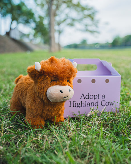 Le peluche de vache des Highlands - Un excellent cadeau