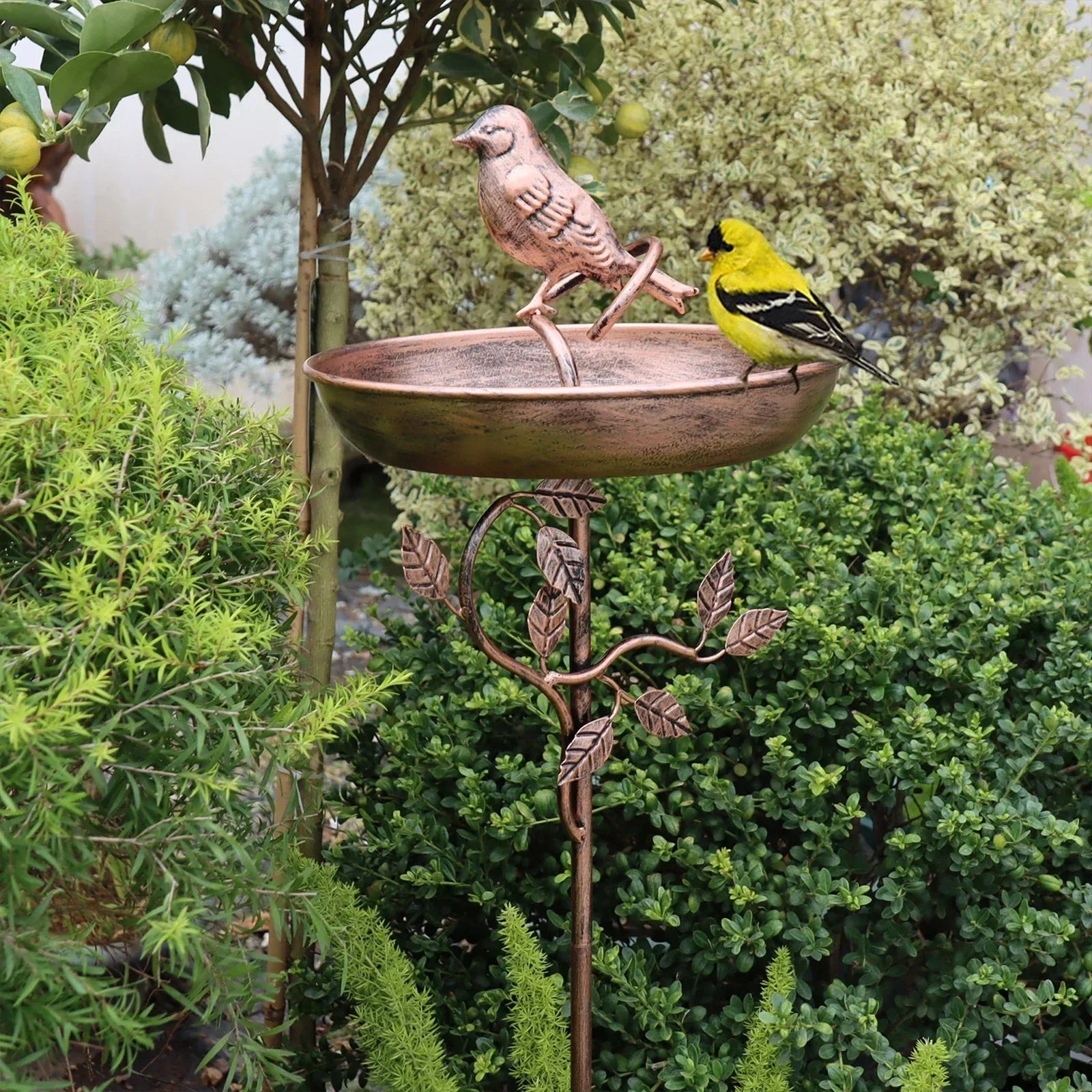 Abreuvoir pour oiseaux de jardin | Bol décoratif | Piquet stable | GardenShine