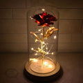 Lampe de Table Décorative LED avec Dôme en Verre et Rose