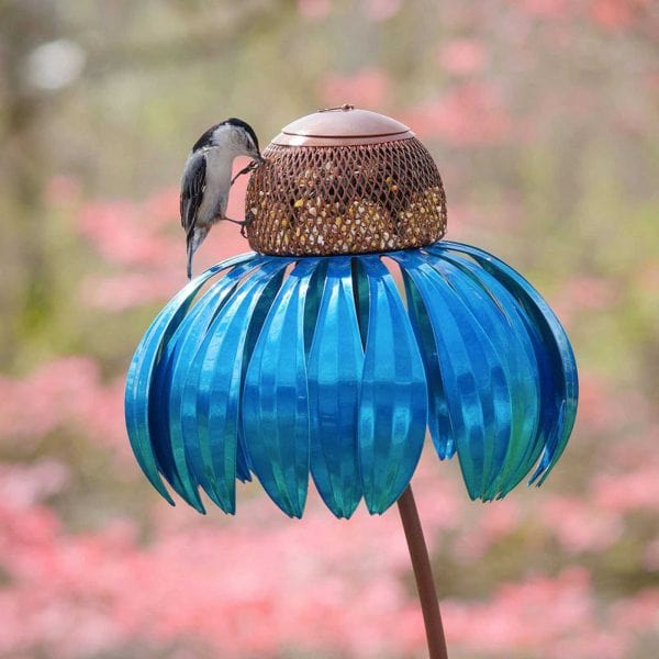 Maison à oiseaux - 50% DE RÉDUCTION aujourd'hui !