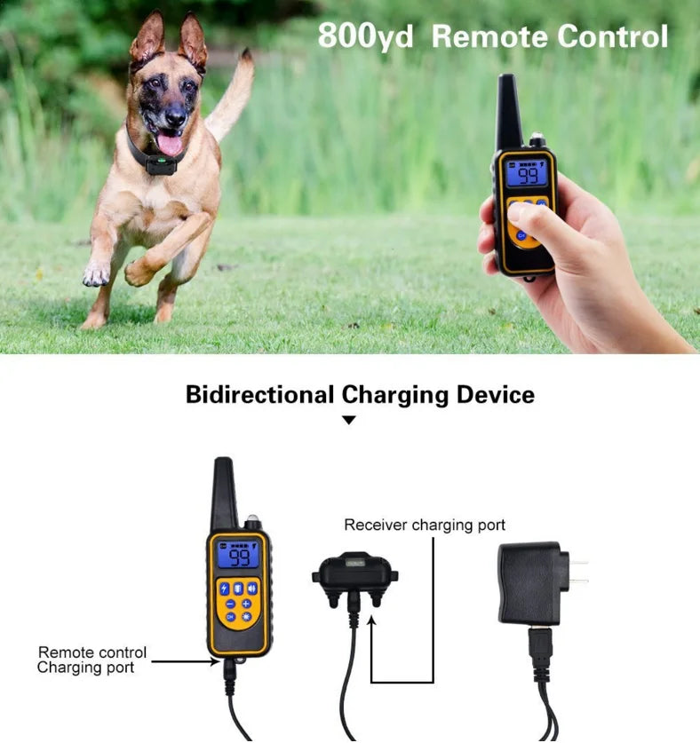 Collier Électrique pour Dressage de Chien – Sûr, Efficace avec Télécommande