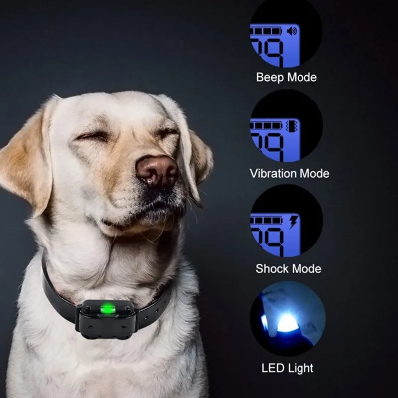 Collier Électrique pour Dressage de Chien – Sûr, Efficace avec Télécommande