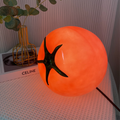 Lampe de table minimaliste Tomato