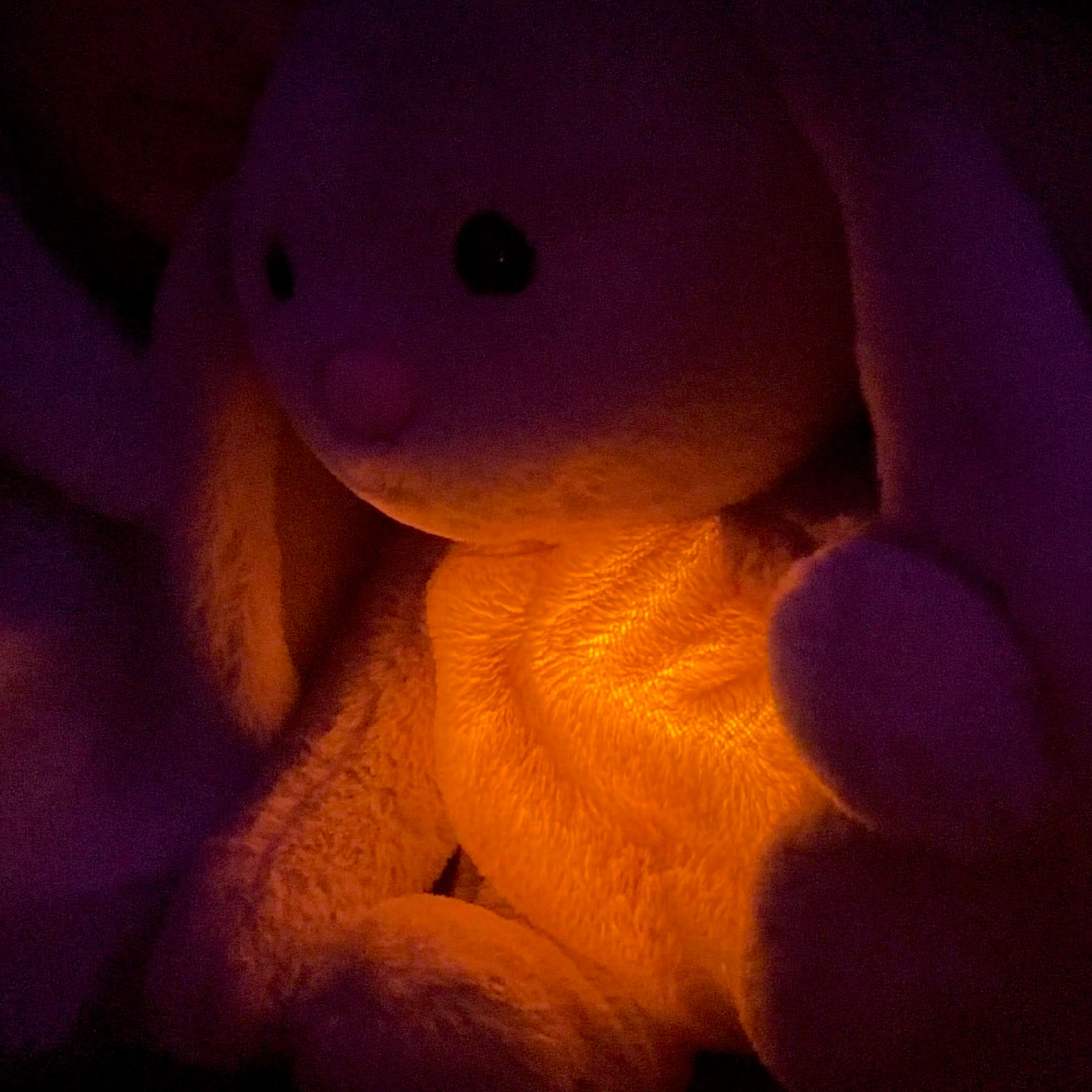 Peluche | Douce respiration pour la sérénité | Lavable avec module amovible | BunnyDormeur