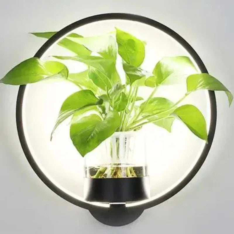 Applique murale LED avec plante intégrée – Appliques design pour intérieurs