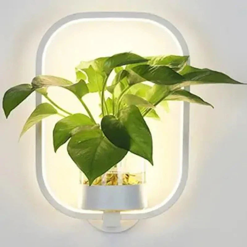Applique murale LED avec plante intégrée – Appliques design pour intérieurs