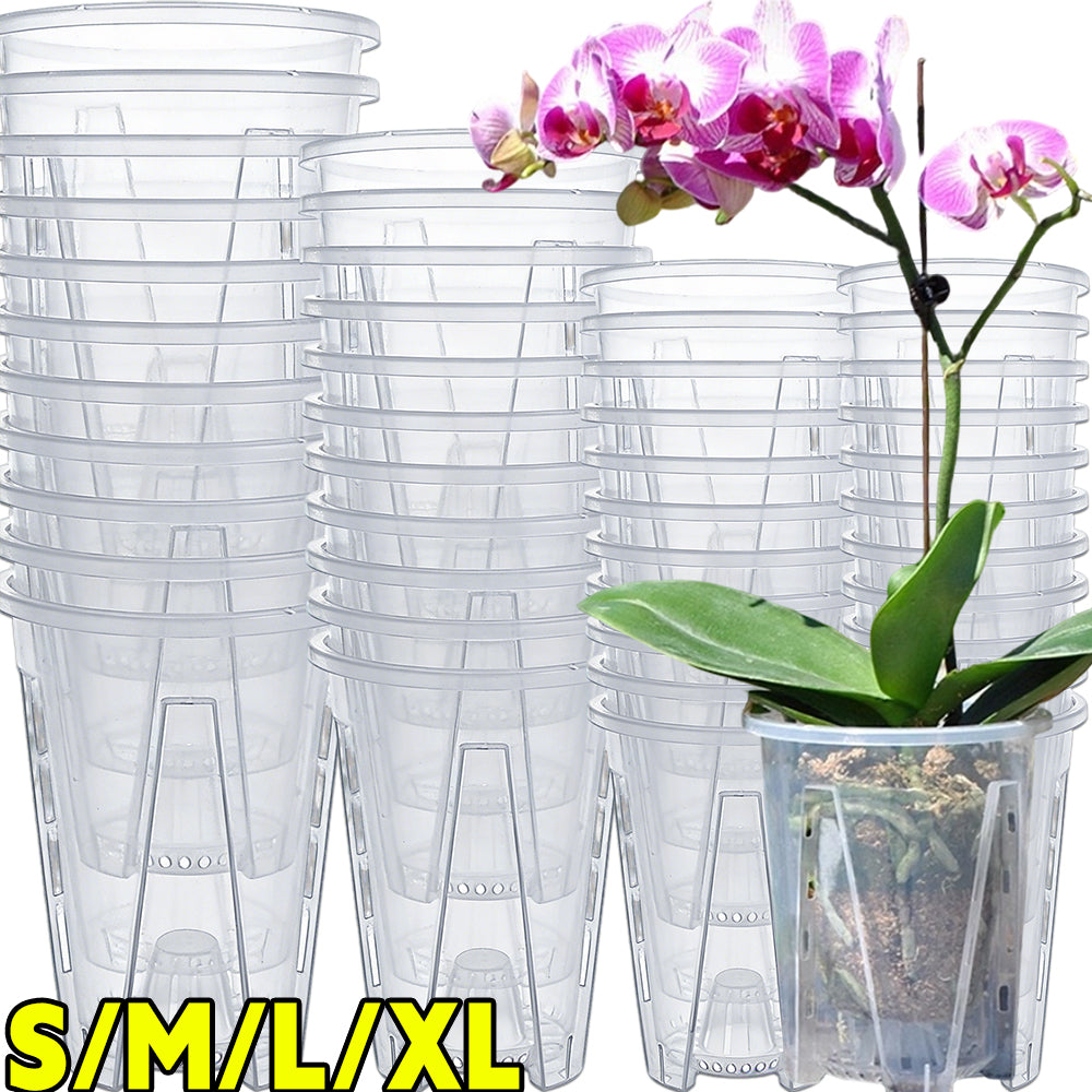 ENSEMBLE CLEARSPROUT – Pots Transparents pour un Suivi Facile des Racines et une Croissance Saine des Plantes