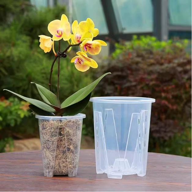 ENSEMBLE CLEARSPROUT – Pots Transparents pour un Suivi Facile des Racines et une Croissance Saine des Plantes