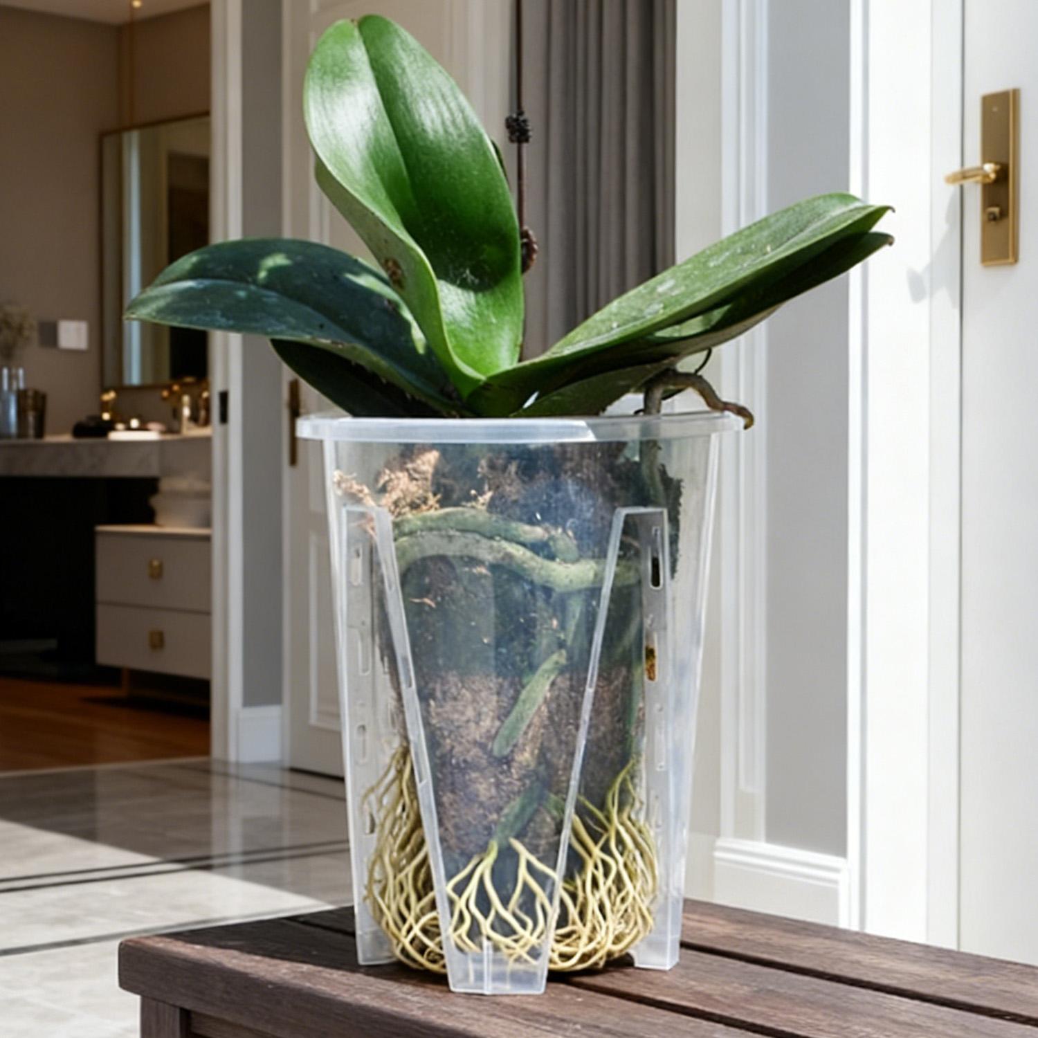 ENSEMBLE CLEARSPROUT – Pots Transparents pour un Suivi Facile des Racines et une Croissance Saine des Plantes