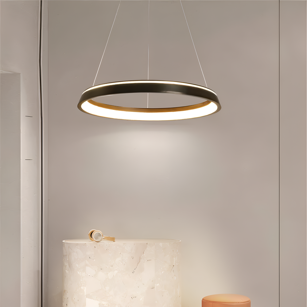 CircuGlow Pendentif – Lampe Suspendue LED Ronde Minimaliste en Noir & Blanc