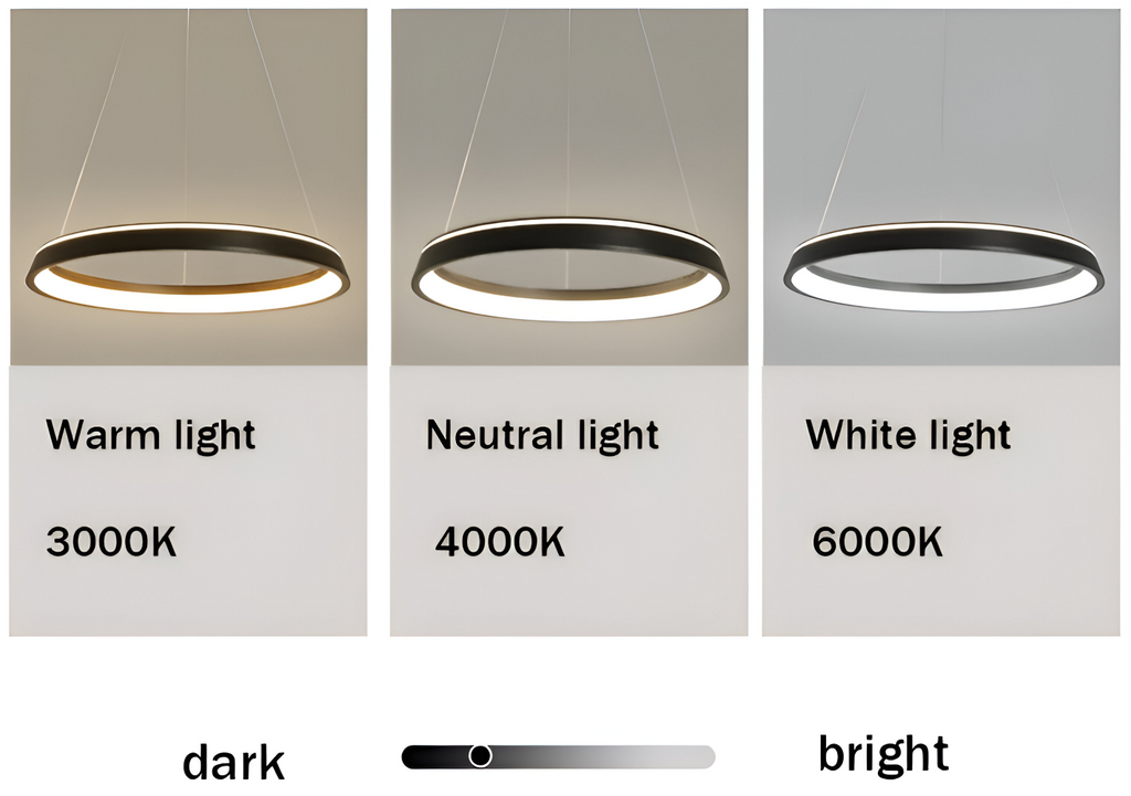 CircuGlow Pendentif – Lampe Suspendue LED Ronde Minimaliste en Noir & Blanc