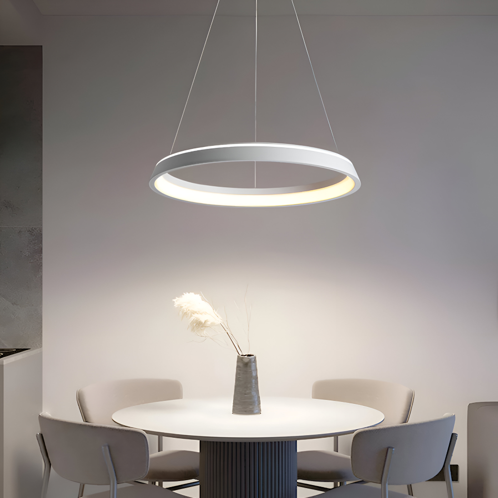 CircuGlow Pendentif – Lampe Suspendue LED Ronde Minimaliste en Noir & Blanc
