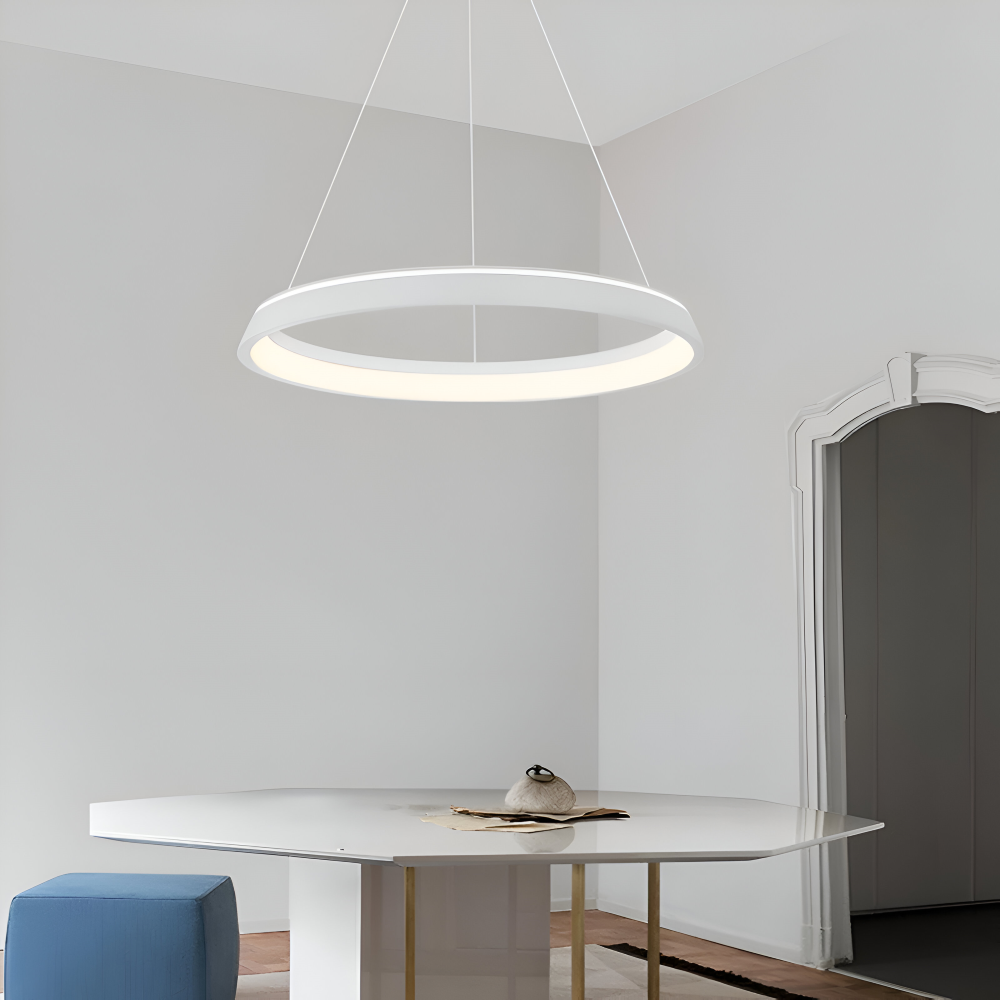 CircuGlow Pendentif – Lampe Suspendue LED Ronde Minimaliste en Noir & Blanc