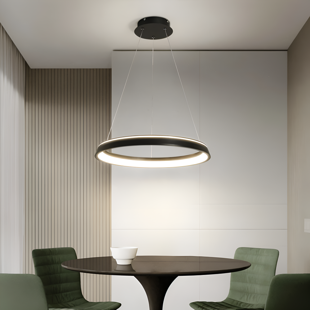 CircuGlow Pendentif – Lampe Suspendue LED Ronde Minimaliste en Noir & Blanc