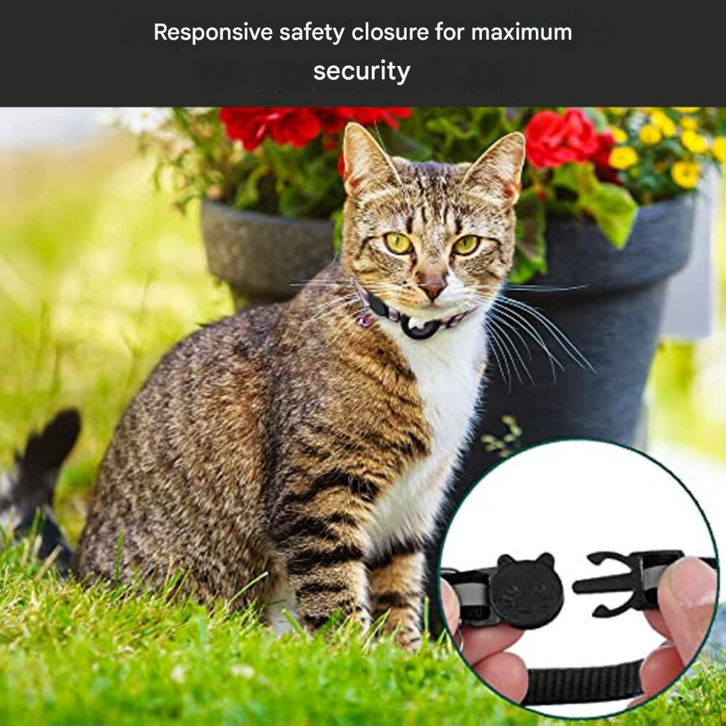 Collier pour Chat avec Verrou de Sécurité - Milo