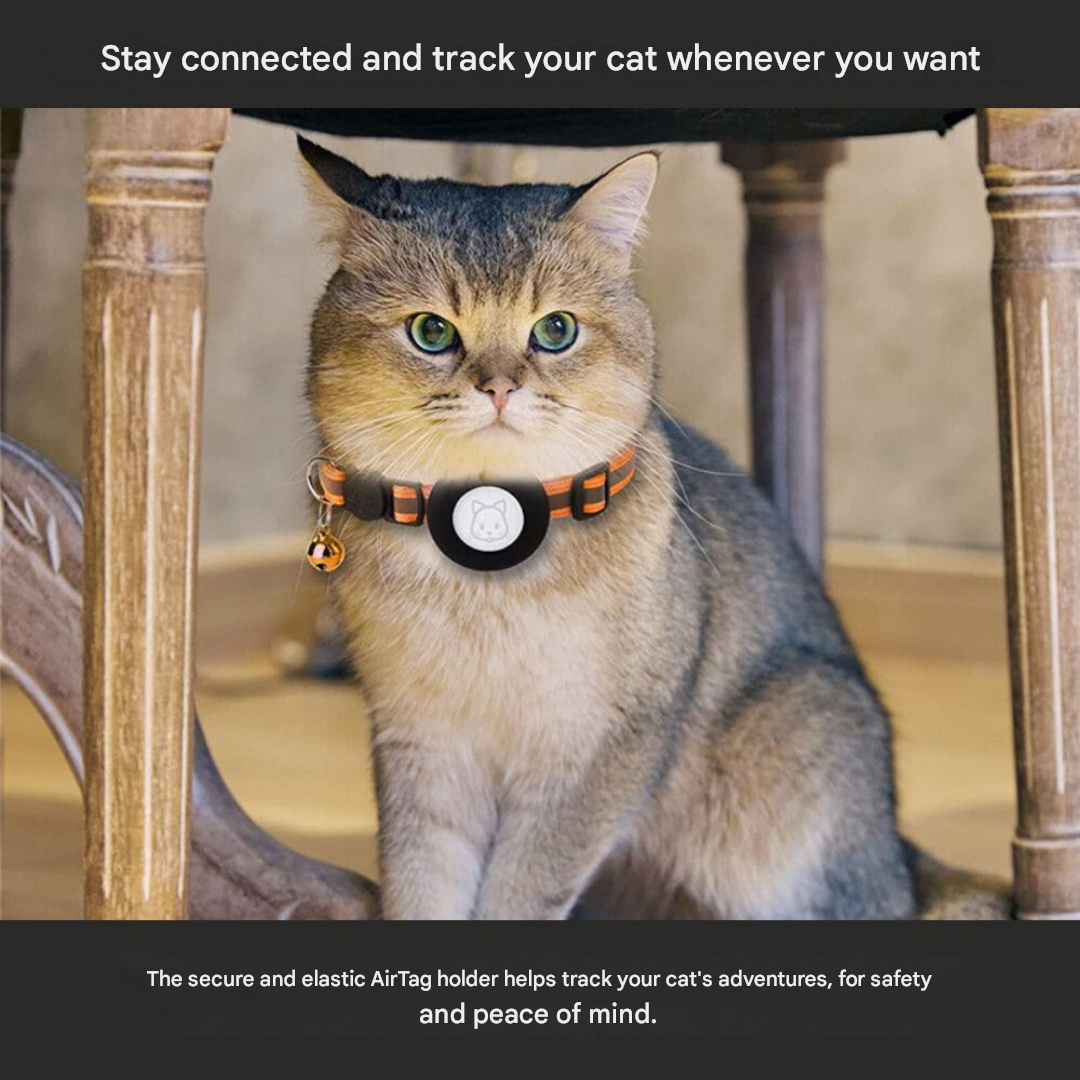 Collier pour Chat avec Verrou de Sécurité - Milo