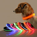 🐾 GlowPaw™ – Le collier LED pour chiens pour des promenades nocturnes en toute sécurité