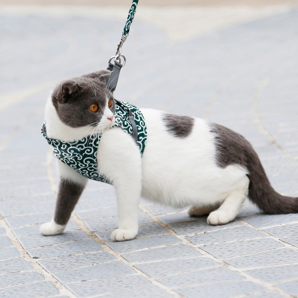 Best-seller : Harnais anti-acné pour chats