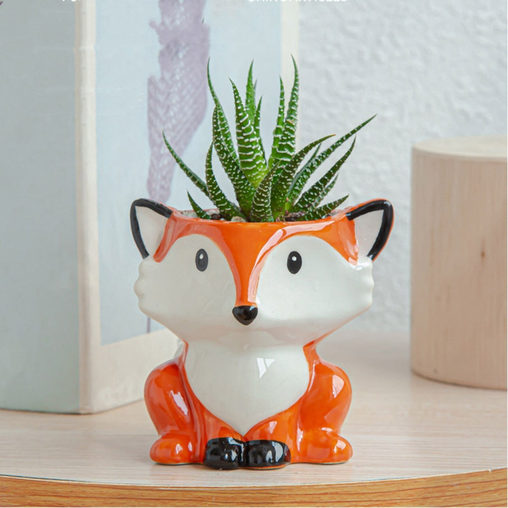 Pots de Succulentes en Forme d'Animaux – Pots Créatifs pour Vos Plantes