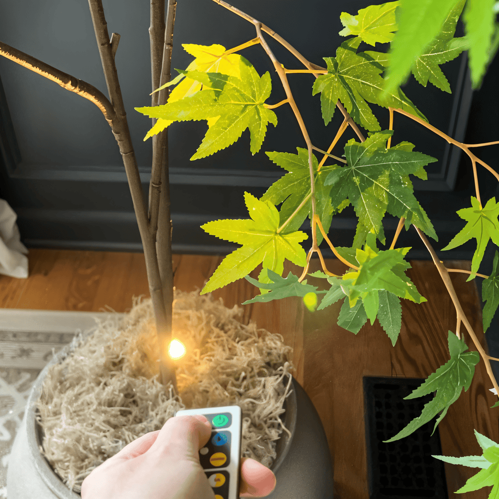 Spot LED sans fil avec télécommande – éclairage d'accentuation dimmable