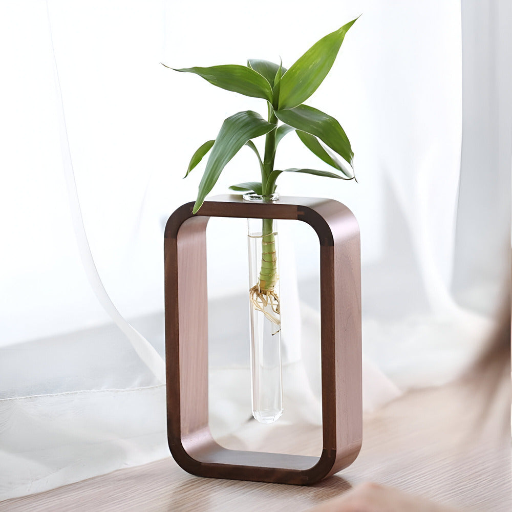 Pot de fleurs en bois et en verre élégant | Idéal pour les amateurs de jardinage
